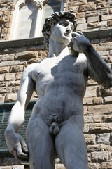 David di Michelangelo Buonarroti (Firenze - Italia) Busto