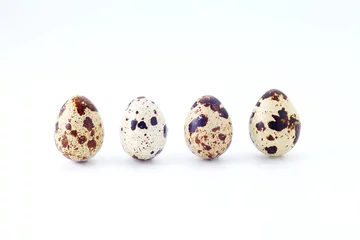 Fotobehang Eieren うずら  © siera