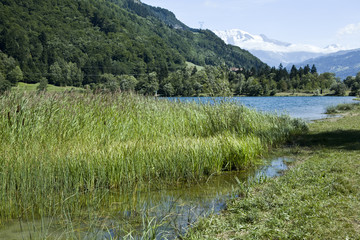 Sallanches : Lac des Ilettes