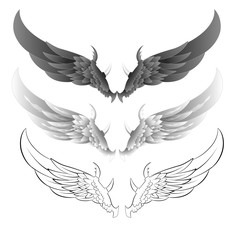 Wings Vector Illustrations