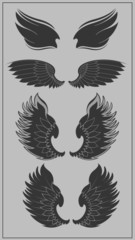 Wings Vectors