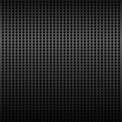 The plane with the holes.