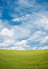 Naklejka premium green field and blue cloudy sky background