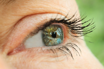 Obraz premium regard
