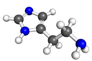 Histamine molecule
