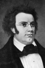 Franz Schubert - obrazy, fototapety, plakaty