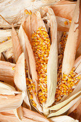 corn husks