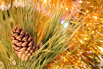 Naklejka na ściany i meble close-up pine cone on christmas tree branch