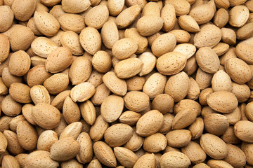 Obraz premium almendras cosechadas