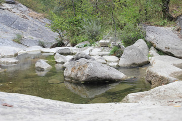 Lamone River