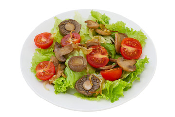 salad with fried champignon with tomato