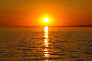 Fototapeta premium Golden Sunset