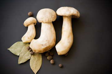 mushrooms on a black background
