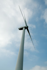 wind mill