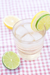 water with lemon and lime in a glass with ice