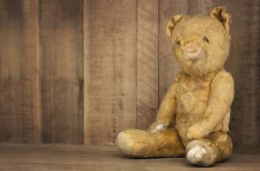 Vintage Teddy Bear on Bookshelf