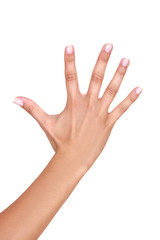Female hand