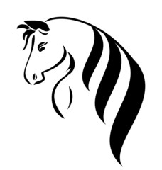 Head horse with beauty hair vector