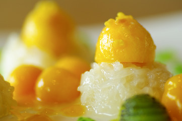 Sticky Rice with Mango close up