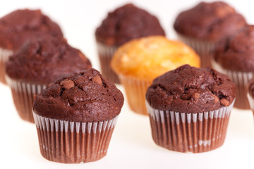 chocolate cup cakes
