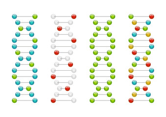 DNA molecules