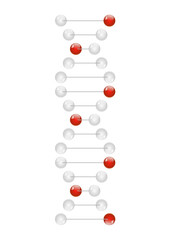 DNA molecule isolated on white