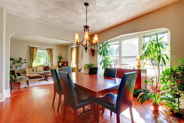 Dining and living room with plants and hardwood.