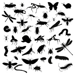 Collection of silhouettes of insects
