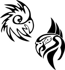 Two tattoos of parrots