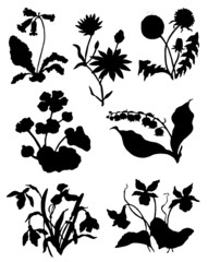 Collection of silhouettes of flowers