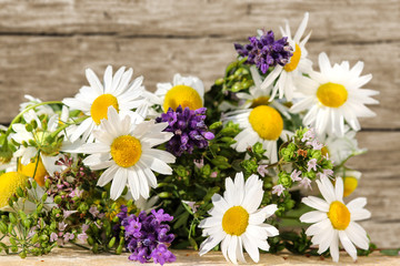 Homöopathie mit Kräutern und Heilpflanzen