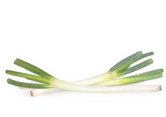 Green Onion japan