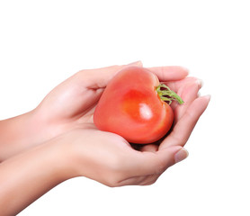 red tomato Heart  in hands
