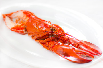 lobster