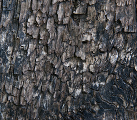 abstract old wooden background