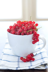 Red currant berry