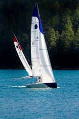 Obraz premium regata