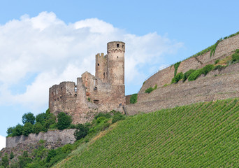 Fototapeta premium Burg im Weinberg - Castle in Vineyard