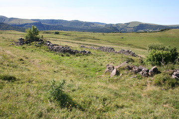 Cantal