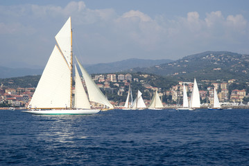 Fototapeta premium Classic yacht regatta