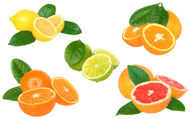 Fototapeta na wymiar Set citrus