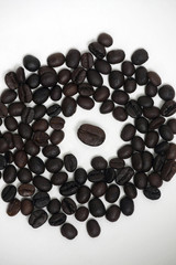 Coffee Beans -04