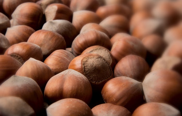 Hazelnuts background