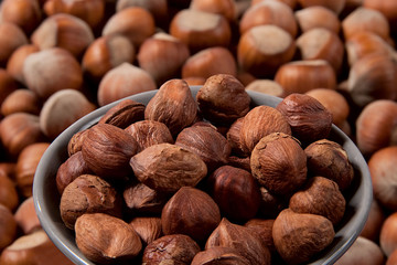Hazelnuts background