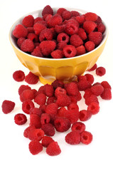 Les framboises du jardin