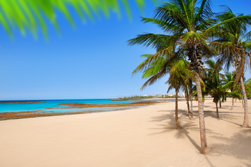 Obraz na płótnie Canvas Arrecife Lanzarote Playa Reducto plaża palmy
