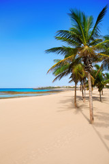 Obraz na płótnie Canvas Arrecife Lanzarote Playa Reducto beach palm trees