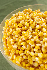 body of corn, showing body of yellow corn seed