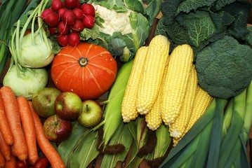 Obst und Gemüse, Bio-Nahrungsmittel