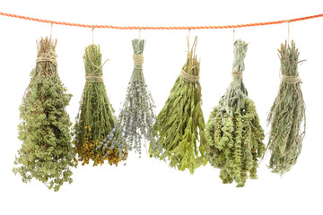 Variety of dried herbs hanging on a rope